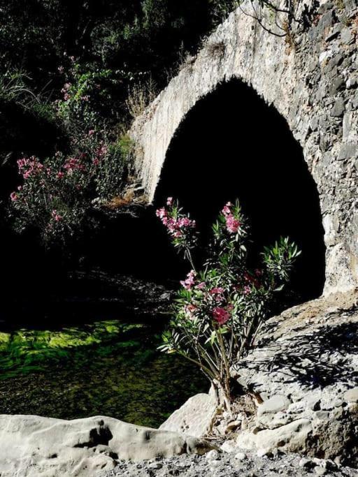 Willa Orne Magical Retreat Zewnętrze zdjęcie